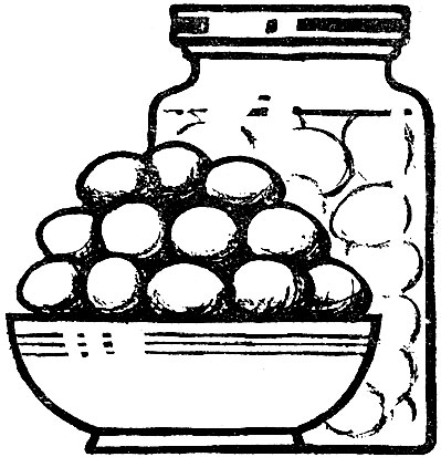 Хранение яиц